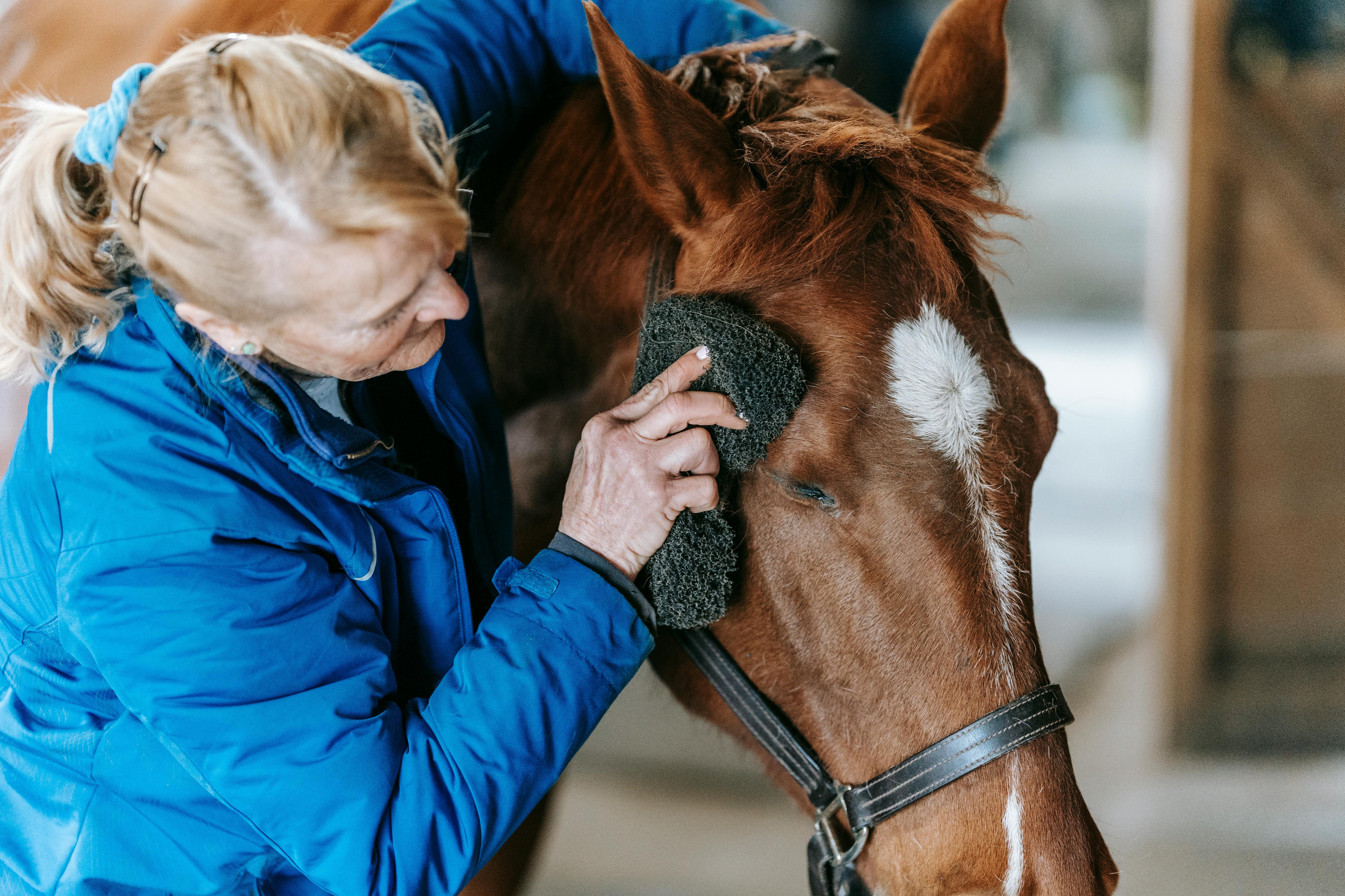 For Horses