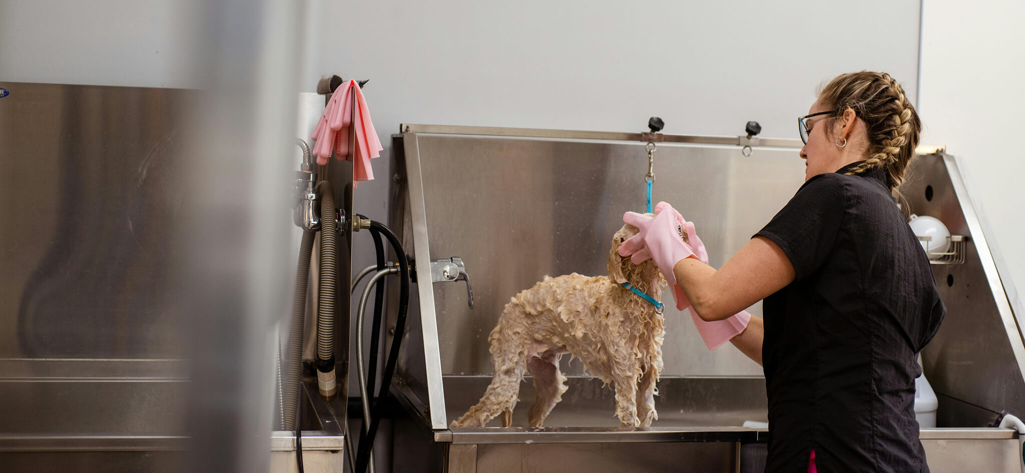 For Groomers