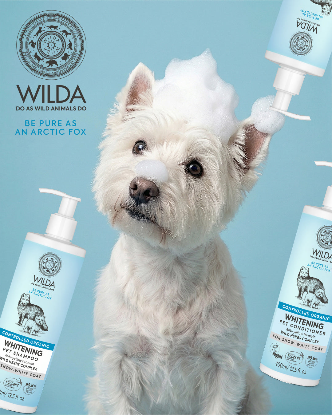 West Highland White Terrier with a bottle of Wilda pet shampoo on a blue background
