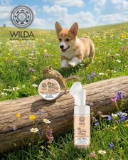 NO-RINSE Paw Cleaning Foam